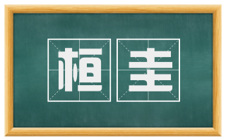 桓圭
