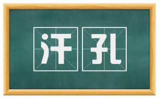 汗孔