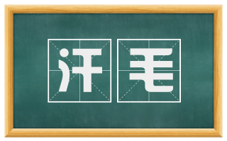 汗毛