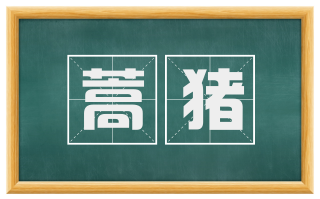 蒿猪