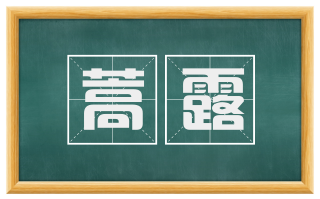 蒿露