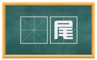 鹖尾