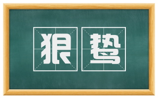 狠鸷