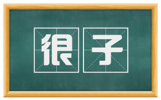 很子