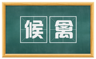 候禽