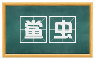 鲎虫
