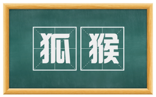 狐猴