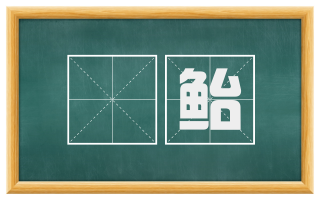 鯸鲐