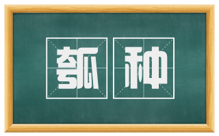 瓠种