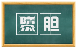 隳胆