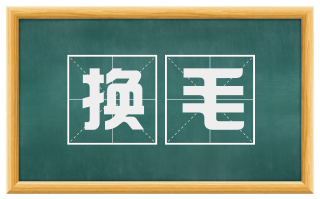 换毛