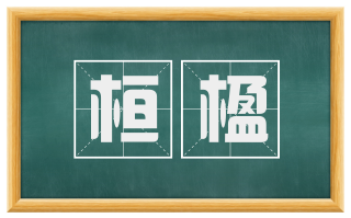 桓楹