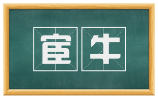 宦牛