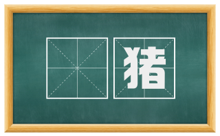 豲猪