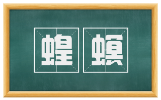 蝗螟