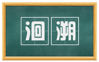 洄溯