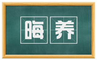 晦养