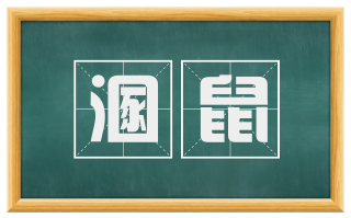 溷鼠