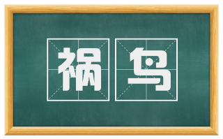 祸鸟