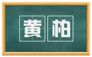 黄柏