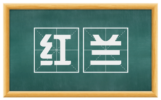 红兰