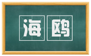 海鸥