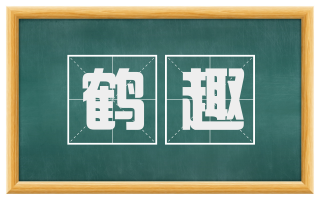 鹤趣