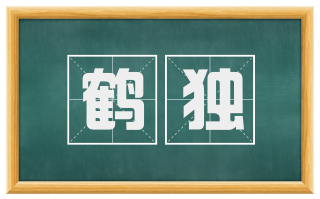 鹤独