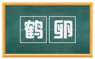 鹤卵