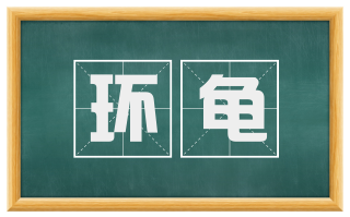环龟