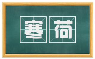 寒荷