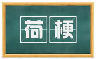 荷梗
