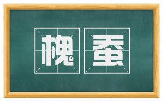 槐蚕