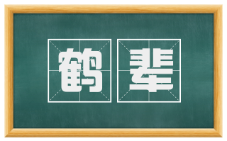 鹤辈