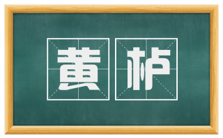黄栌