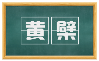 黄檗