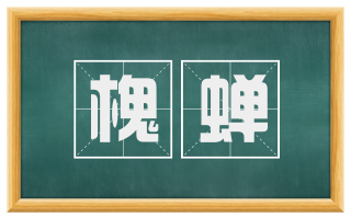 槐蝉