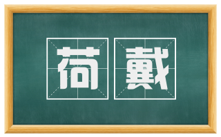 荷戴