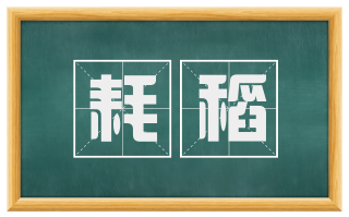 耗稻