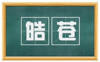 皓苍