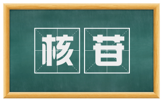核苷