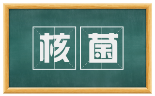 核菌