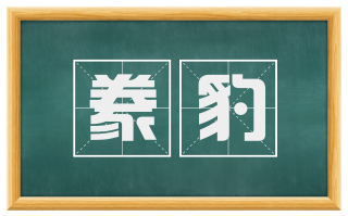 豢豹