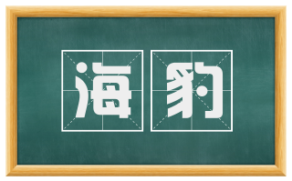 海豹