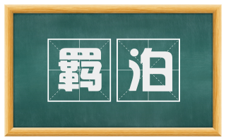 羁泊