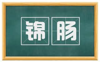 锦肠