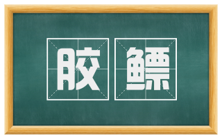 胶鳔
