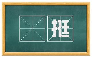 搢挺