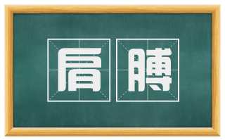 肩膊