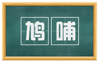 鸠哺